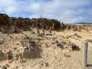 Petrified Forest, Cape Bridgewater