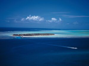 Heron Island Ferry