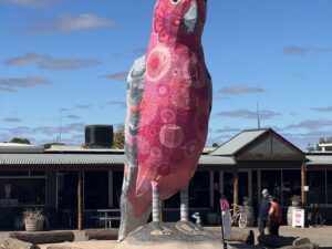 The Big Galah at Kimba