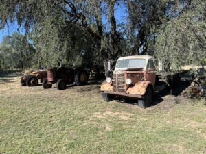 Blackall Woolscour grounds