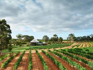 Vasse Felix Vineyard Margaret River